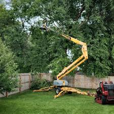 Seasonal Cleanup (Spring/Fall) in Horizon West, FL